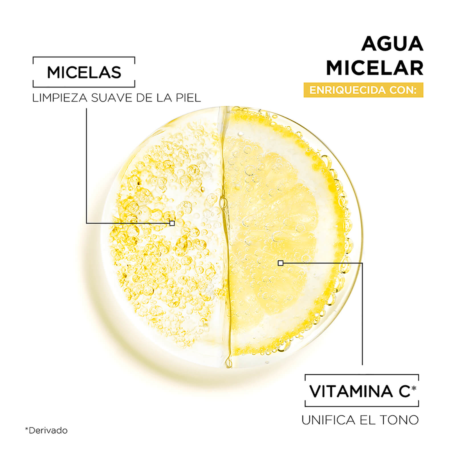 Agua Micelar Vitamina C Garnier Skin Active componentes